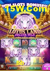 A Emoção da Loteria na Bib777: Uma Chance de Mudança de Vida